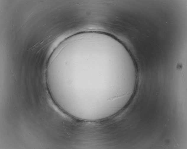 X0000112141374200908070929