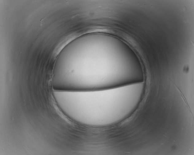 X0000112141377200908070929
