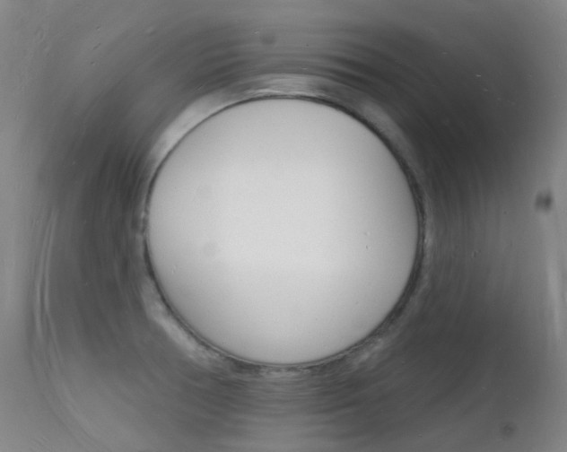 X0000112141378200908070929