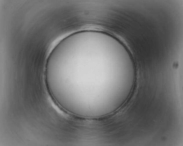 X0000112141379200908070929