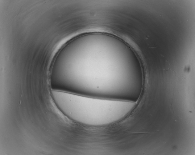 X0000112141380200908070929