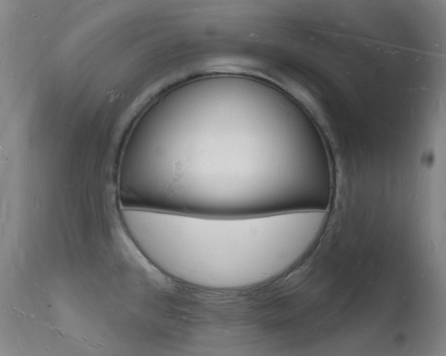 X0000112141384200908070929