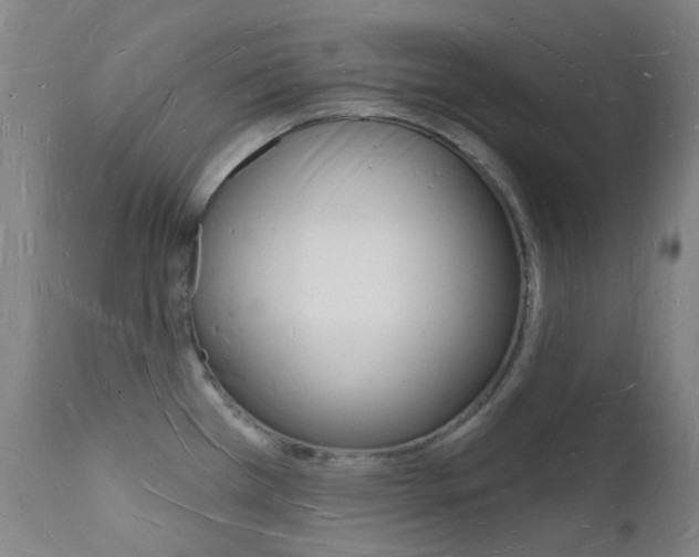 X0000112141385200908070929