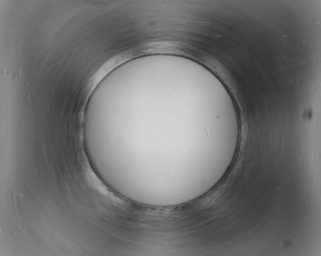 X0000112141386200908070929