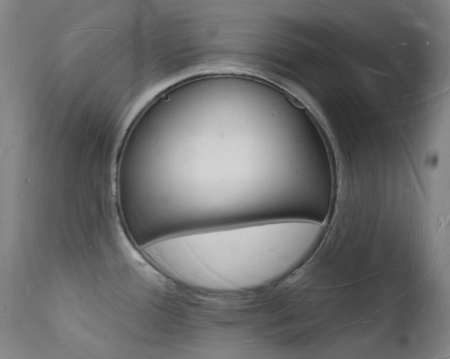 X0000112141388200908070929