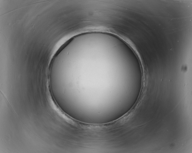 X0000112141389200908070929