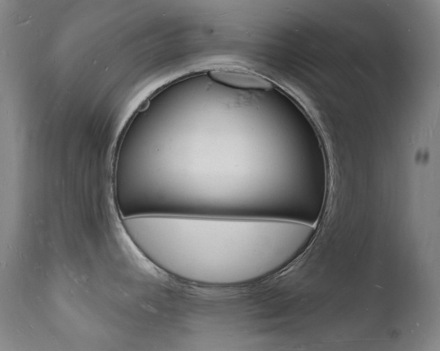 X0000112141392200908070929