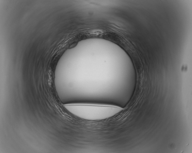 X0000112141394200908070928