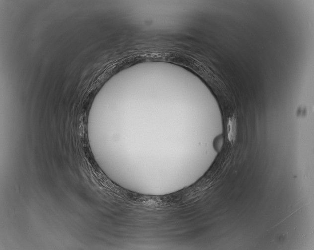 X0000112141395200908070928
