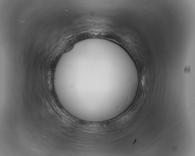 X0000112141396200908070928