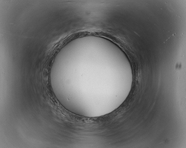X0000112141398200908070928