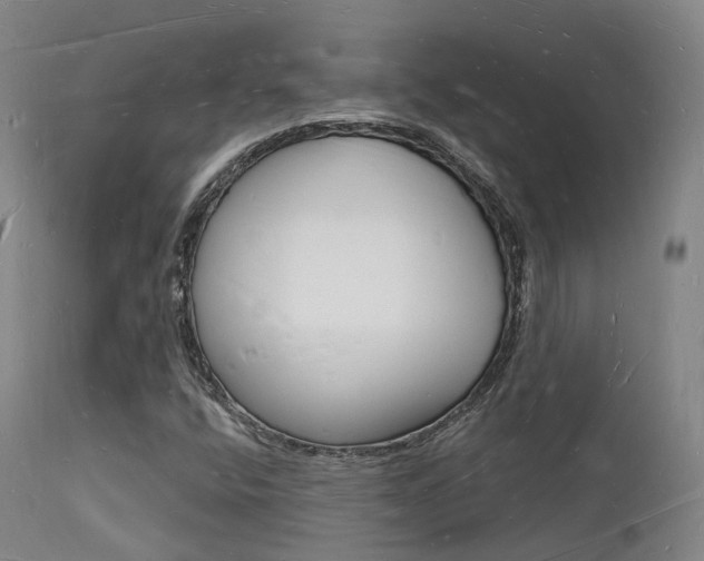 X0000112141400200908070928