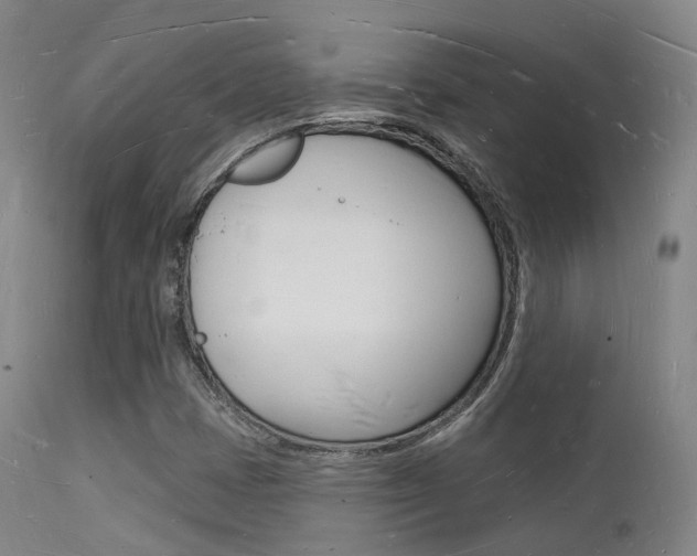 X0000112141401200908070928