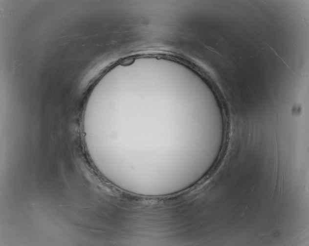 X0000112141407200908070928