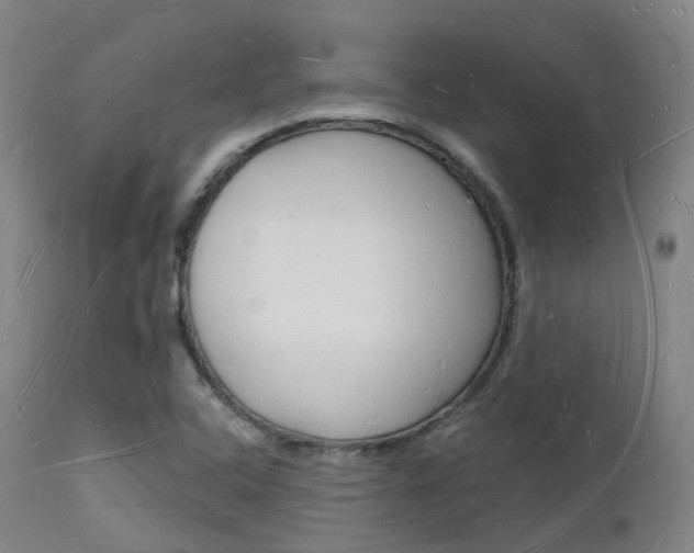 X0000112141408200908070928