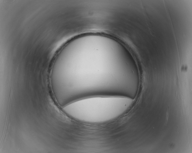 X0000112141412200908070928