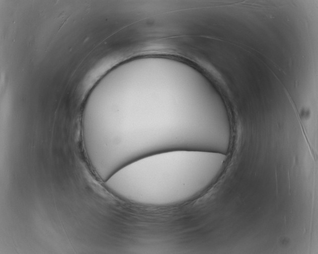 X0000112141413200908070928