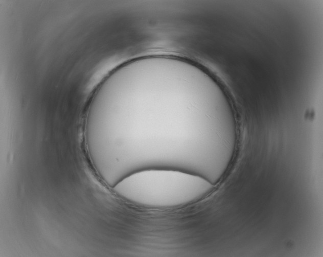 X0000112141415200908070928