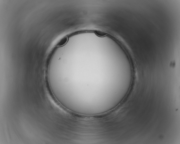 X0000112141416200908070929