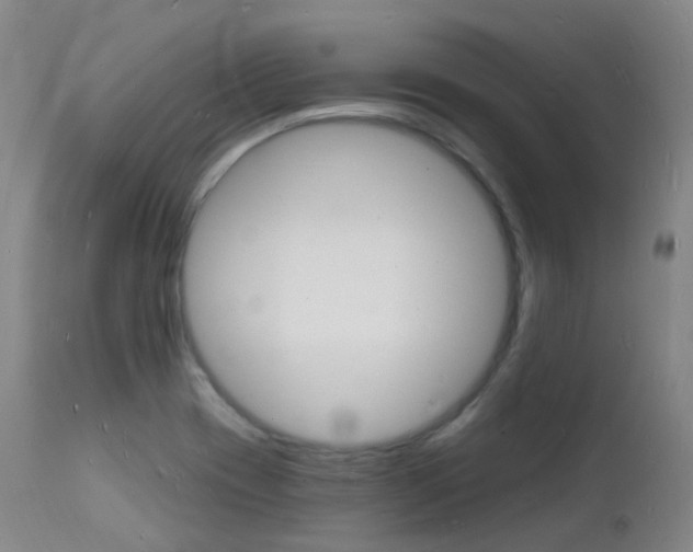 X0000112141417200908070929