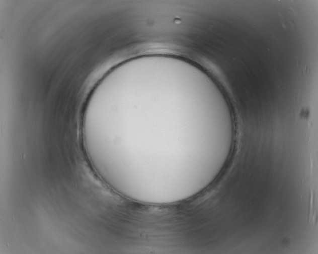 X0000112141419200908070929