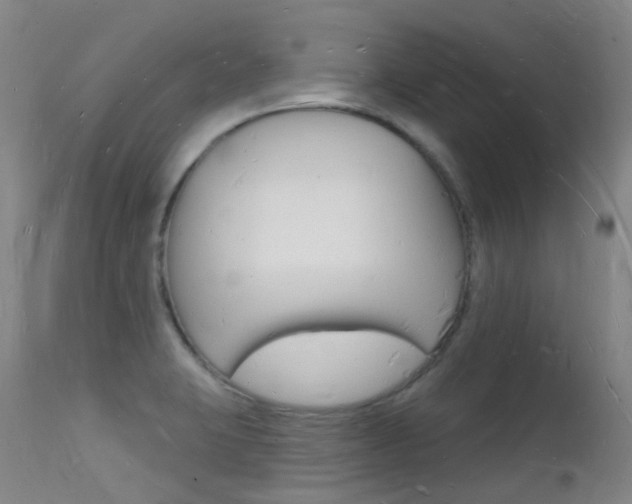 X0000112141423200908070929