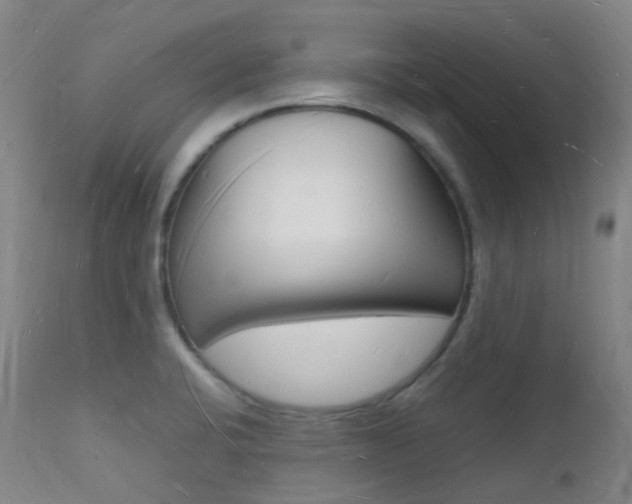 X0000112141424200908070929