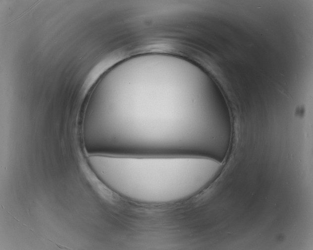 X0000112141426200908070929