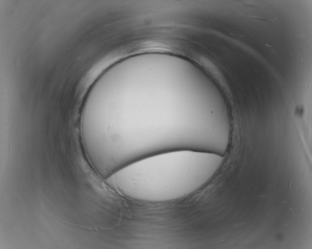 X0000112141427200908070929