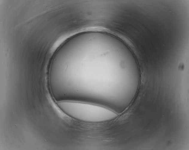 X0000112141430200908070929