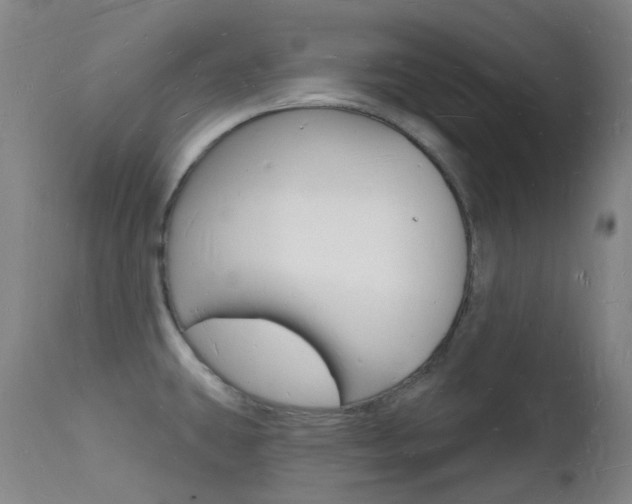 X0000112141431200908070929