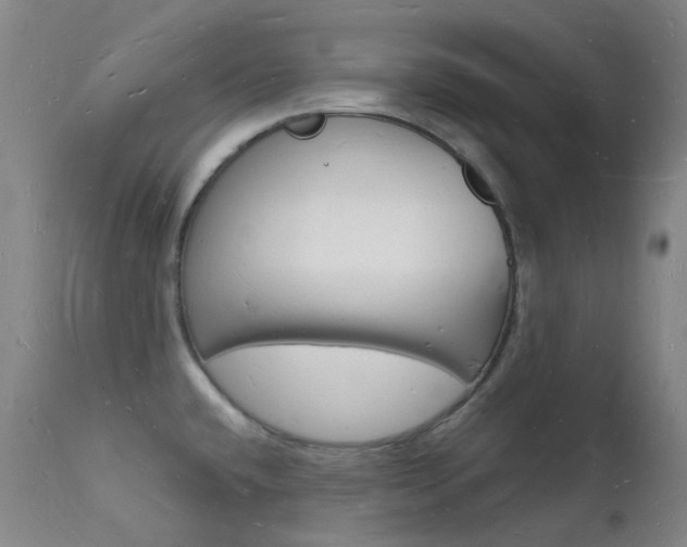 X0000112141432200908070929