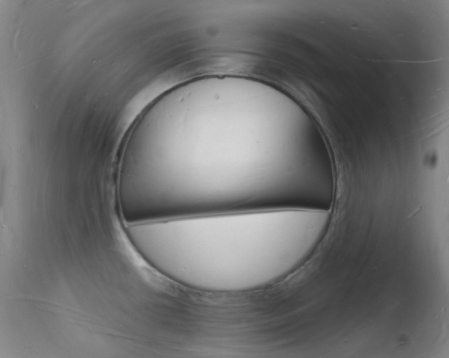 X0000112141434200908070929