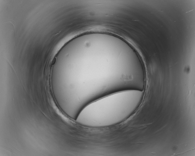 X0000112141437200908070929