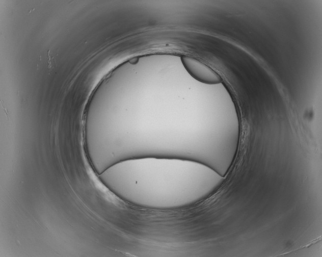 X0000112141439200908070929