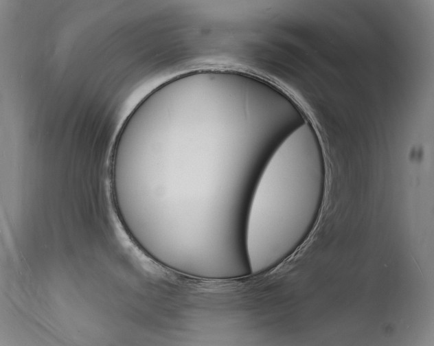 X0000112141440200908070929