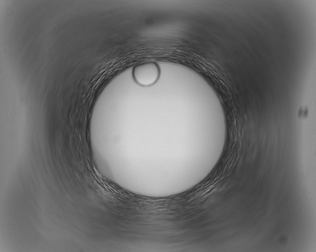 X0000112141441200908070928