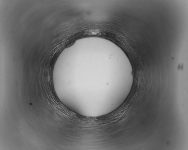 X0000112141442200908070928