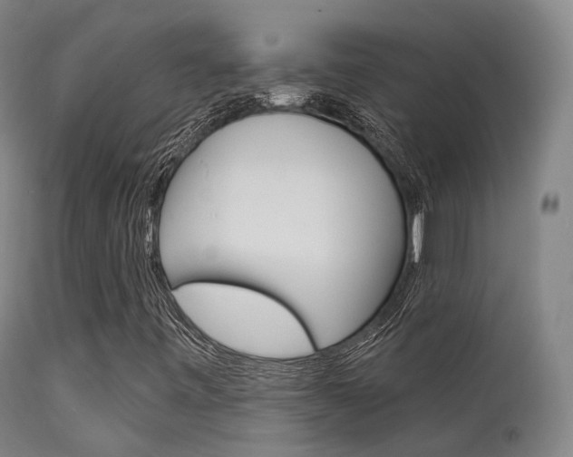 X0000112141443200908070928