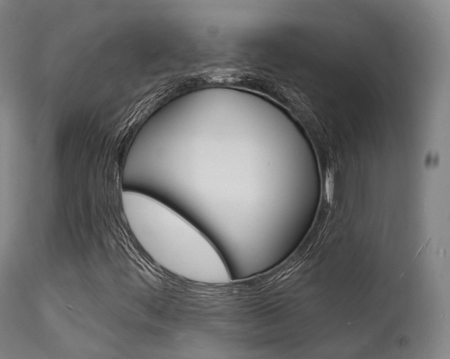 X0000112141444200908070928