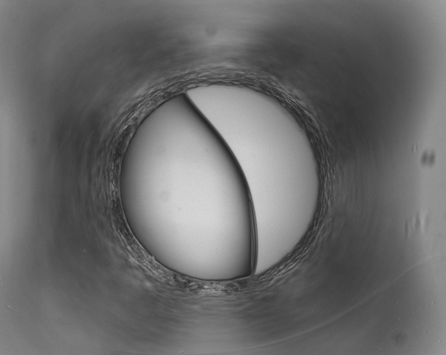 X0000112141445200908070928