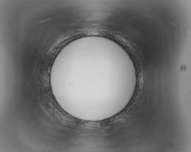 X0000112141446200908070928