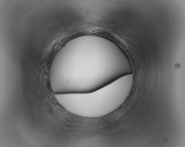 X0000112141447200908070928