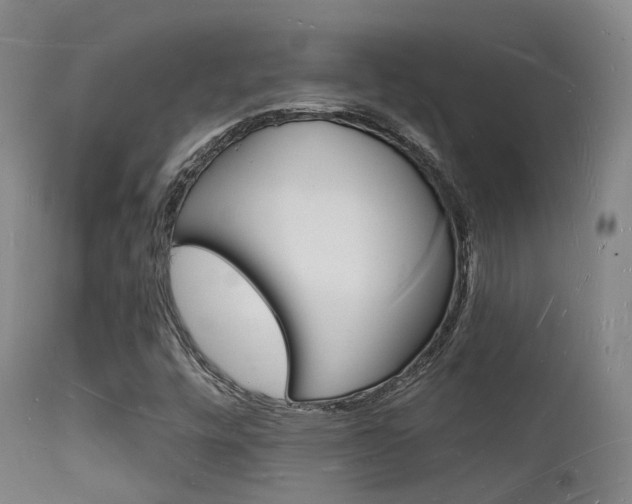 X0000112141448200908070928