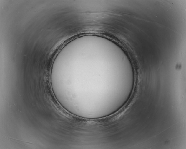 X0000112141449200908070928