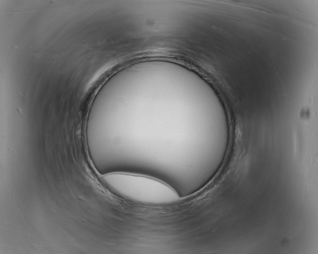 X0000112141450200908070928