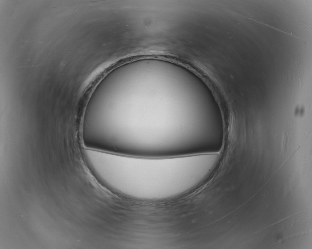 X0000112141452200908070928