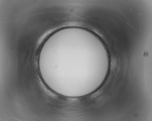 X0000112141454200908070928
