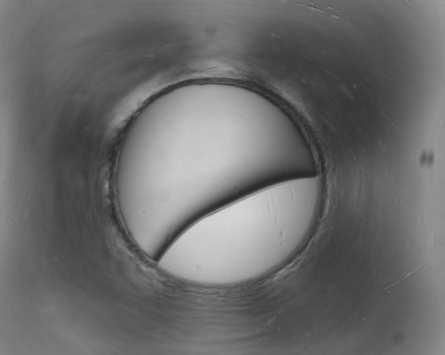 X0000112141455200908070928