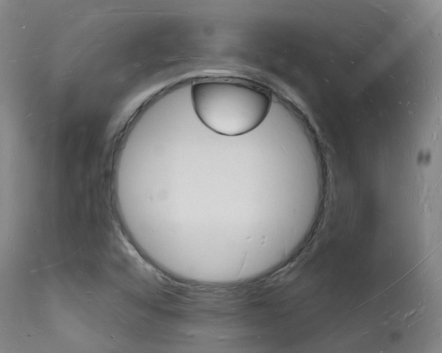 X0000112141456200908070928